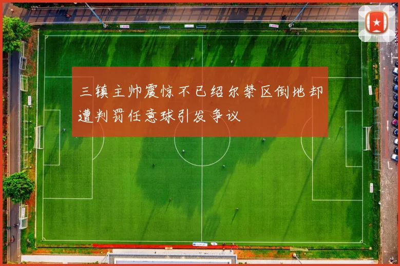 三镇主帅震惊不已绍尔禁区倒地却遭判罚任意球引发争议