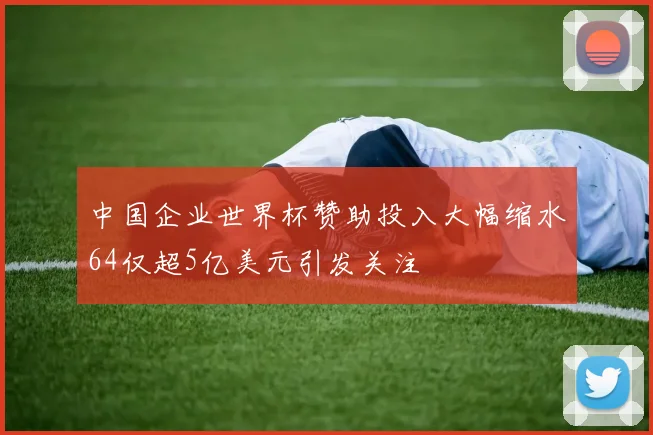 中国企业世界杯赞助投入大幅缩水64仅超5亿美元引发关注